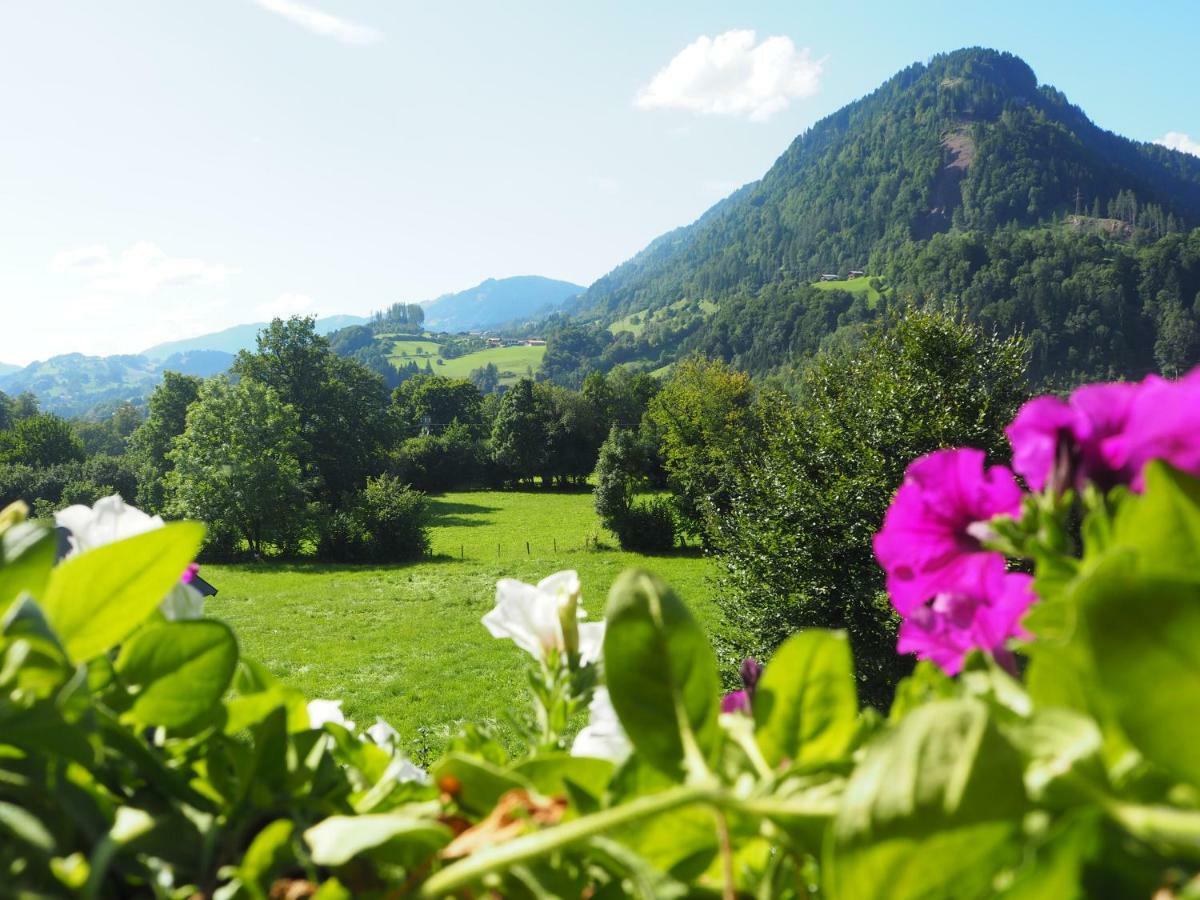Rohrmoser Appartements Sankt Johann im Pongau Εξωτερικό φωτογραφία