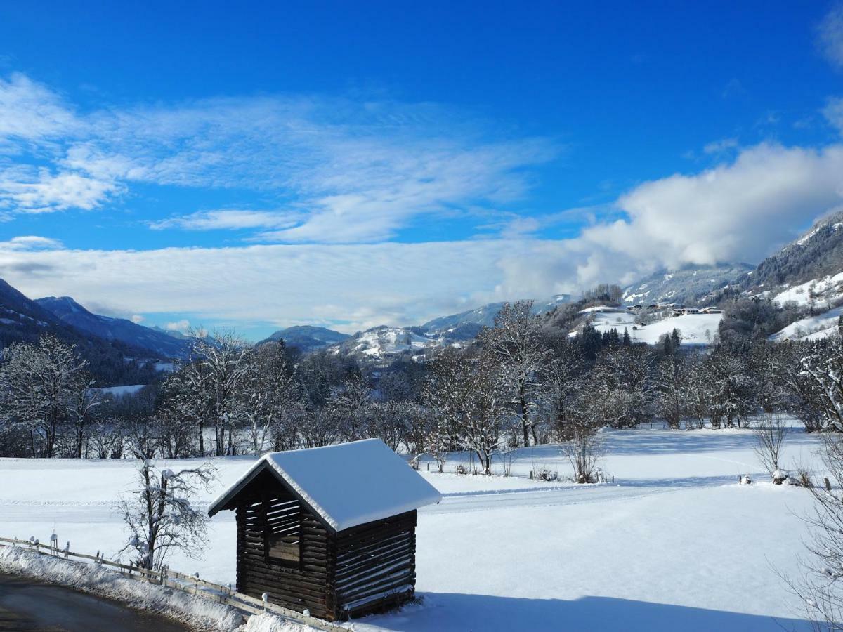Rohrmoser Appartements Sankt Johann im Pongau Εξωτερικό φωτογραφία