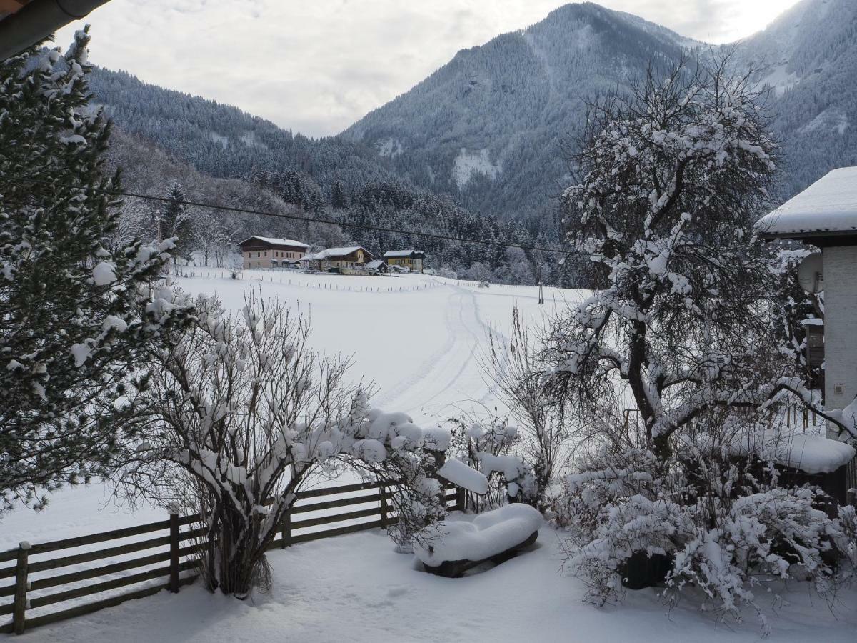 Rohrmoser Appartements Sankt Johann im Pongau Εξωτερικό φωτογραφία